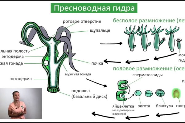 Украли аккаунт на кракене что делать